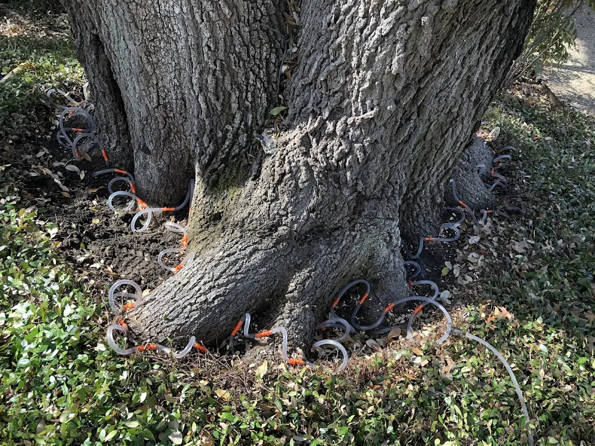Detailed Shrub and Hedge Trimming job site in Friedens