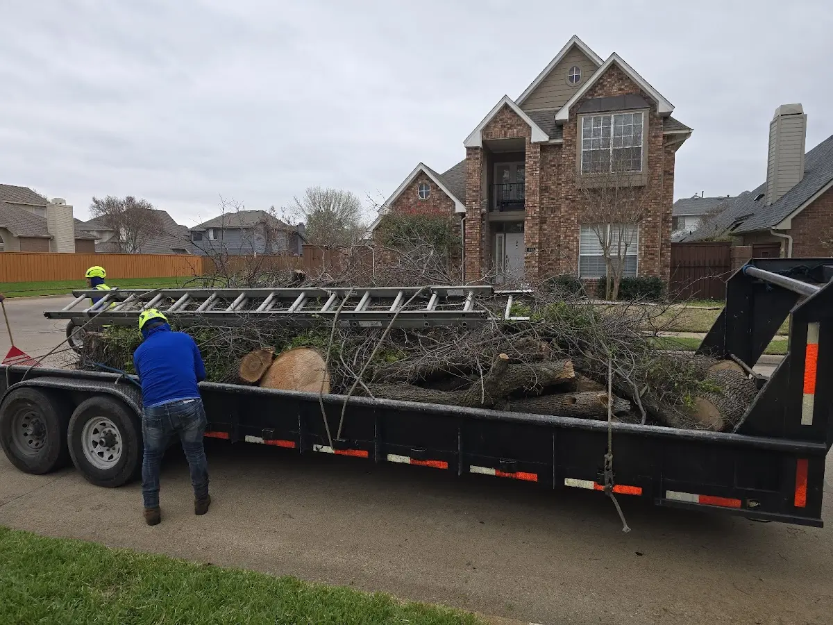 Expert Tree Fertilization with proper safety equipment in Friedens